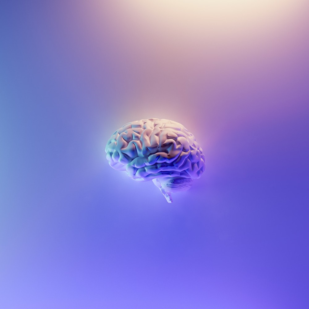ייחודיות המוח האנושי