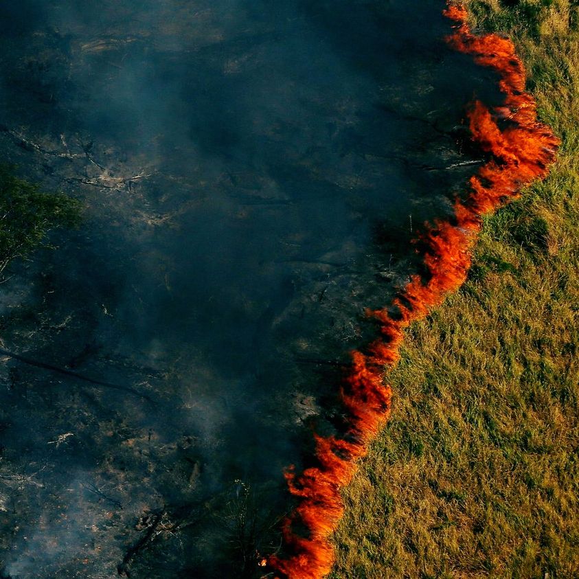 השריפות באמזונס: שיקוף לאש המשתוללת בין בני האדם