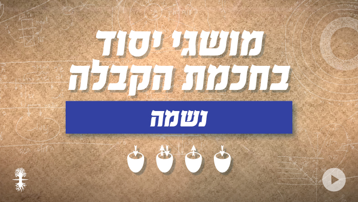 נשמה