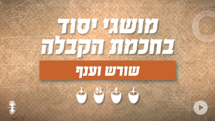 שורש וענף | מושגי יסוד בחכמת הקבלה