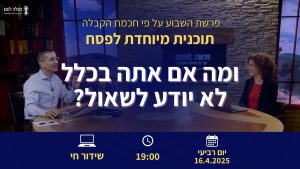 פרשת השבוע | ומה אם אתה בכלל לא יודע לשאול?שלם?